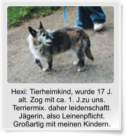 Hexi: Tierheimkind, wurde 17 J.  alt. Zog mit ca. 1. J.zu uns. Terriermix. daher leidenschaftl. Jgerin, also Leinenpflicht. Groartig mit meinen Kindern.